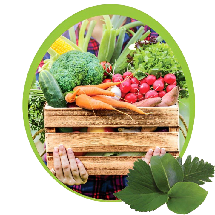 Légumes Riom-ès-Montagnes